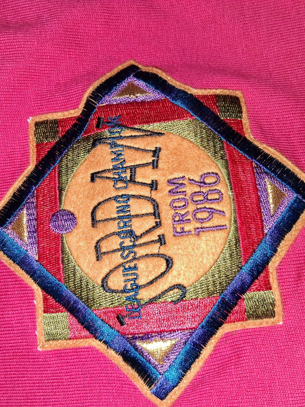 Vintage 2003 Nike Air Jordan Fleece Shorts Red Size M Rare 1986 Shield Patch